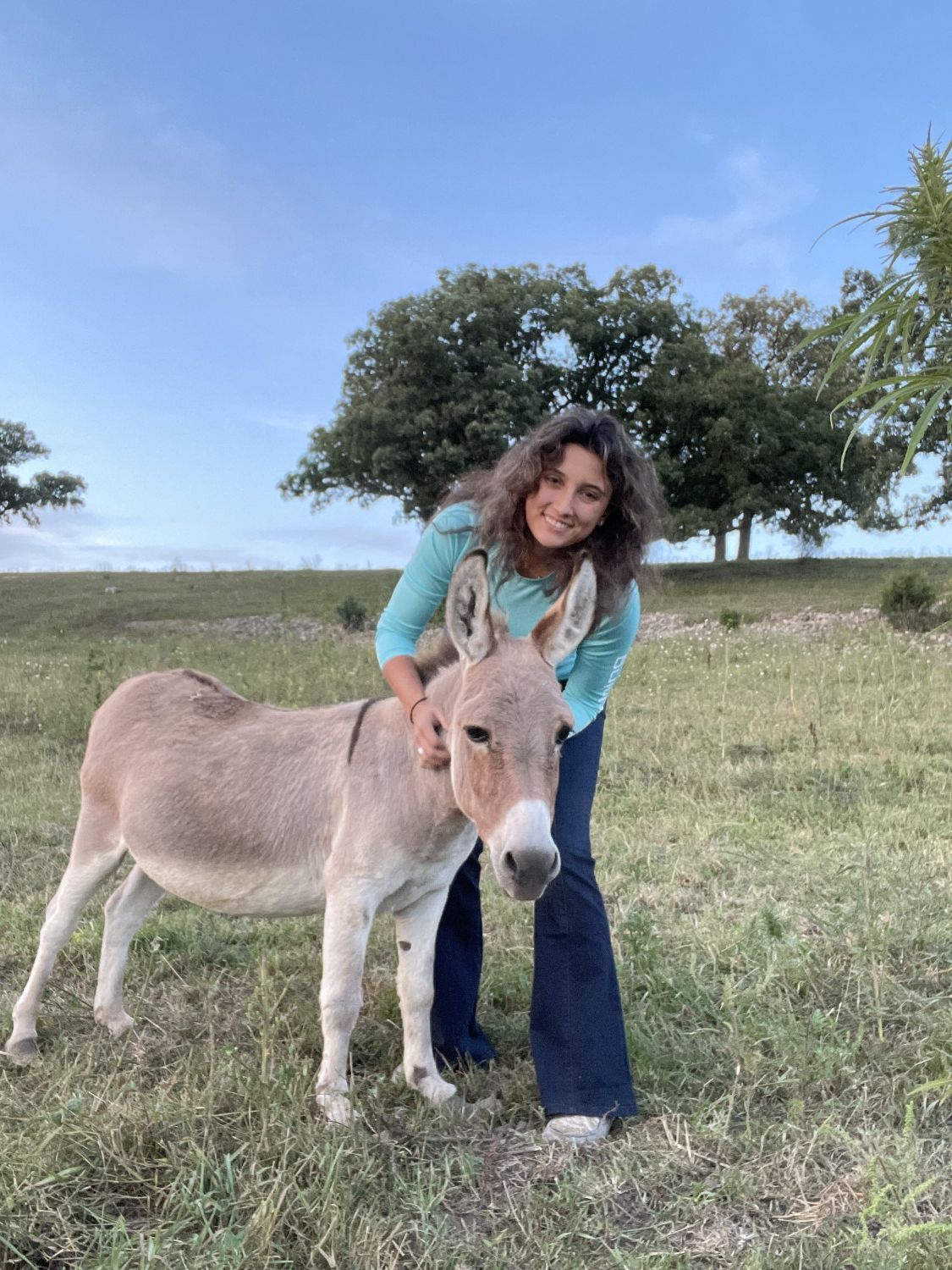 A picture of a dark-haired woman with her arms affectionately around the neck of a young donkey.