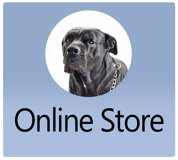 Online Store